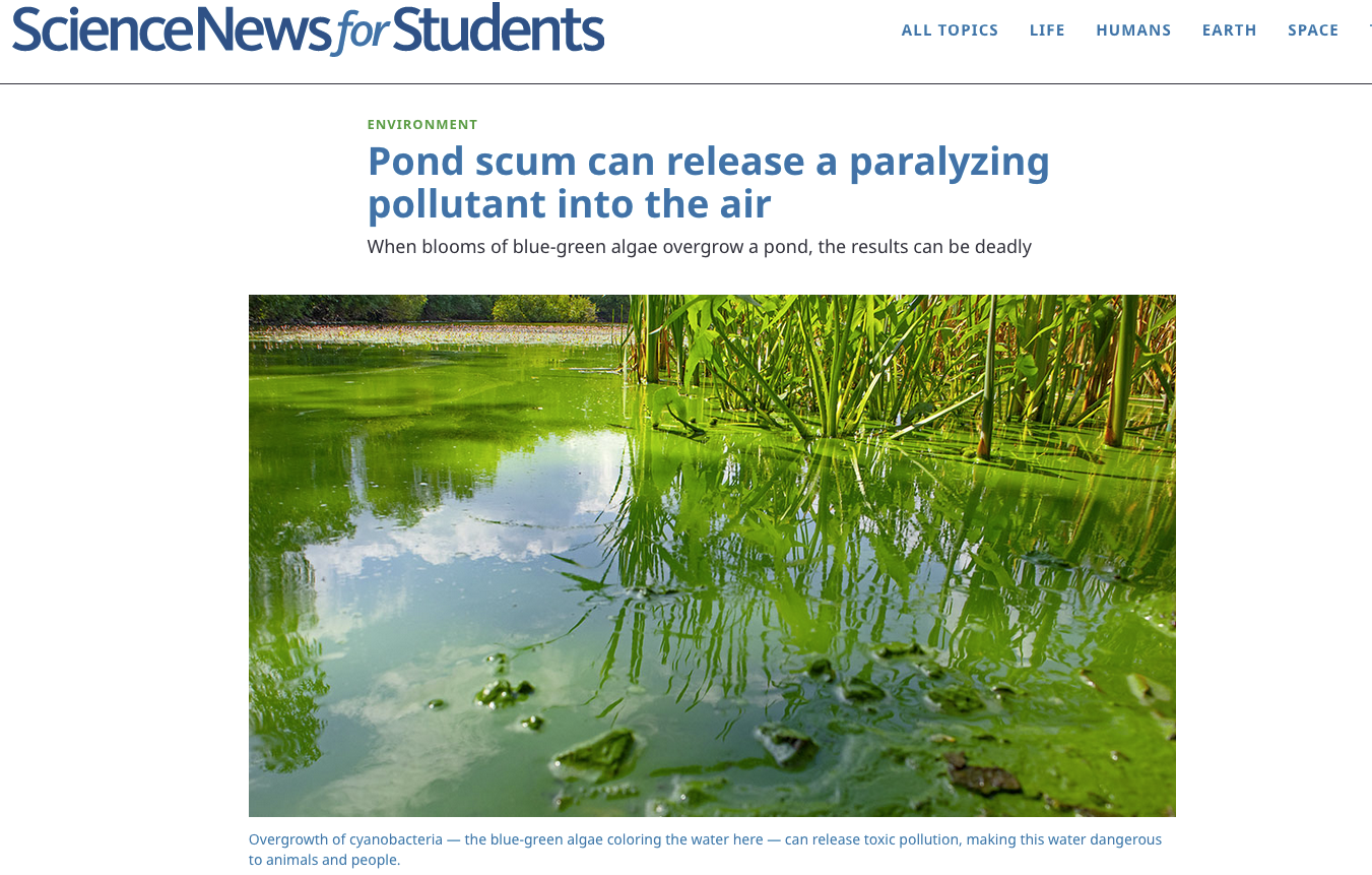 Screen Shot 2021-06-14 at 3.53.41 PM